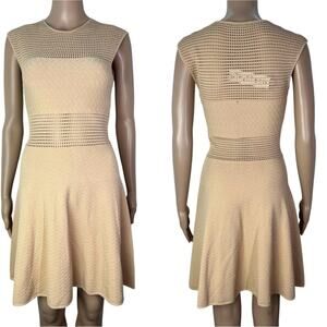 New Jay Godfrey Manley A-Line Tan Sheer Open Knit Mini Party Dress